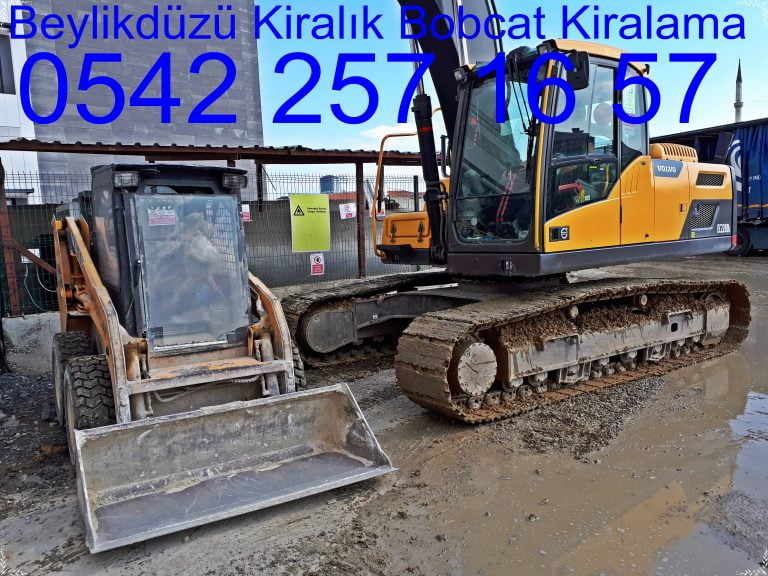 Beylikdüzü bobcat