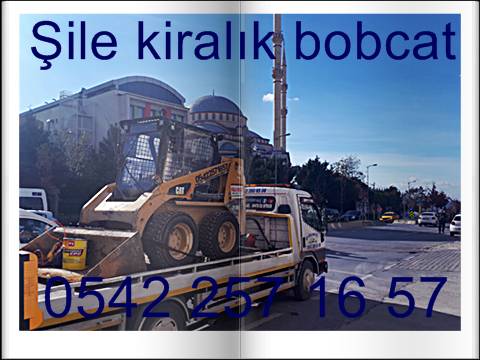 sile-bobcat